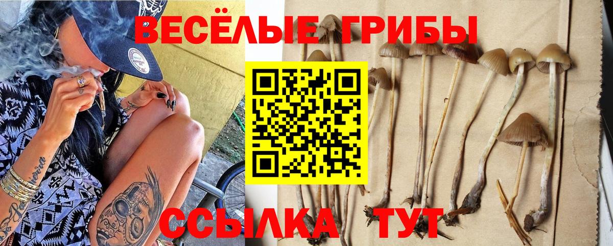 Псилоцибиновые грибы Cubensis Выкса