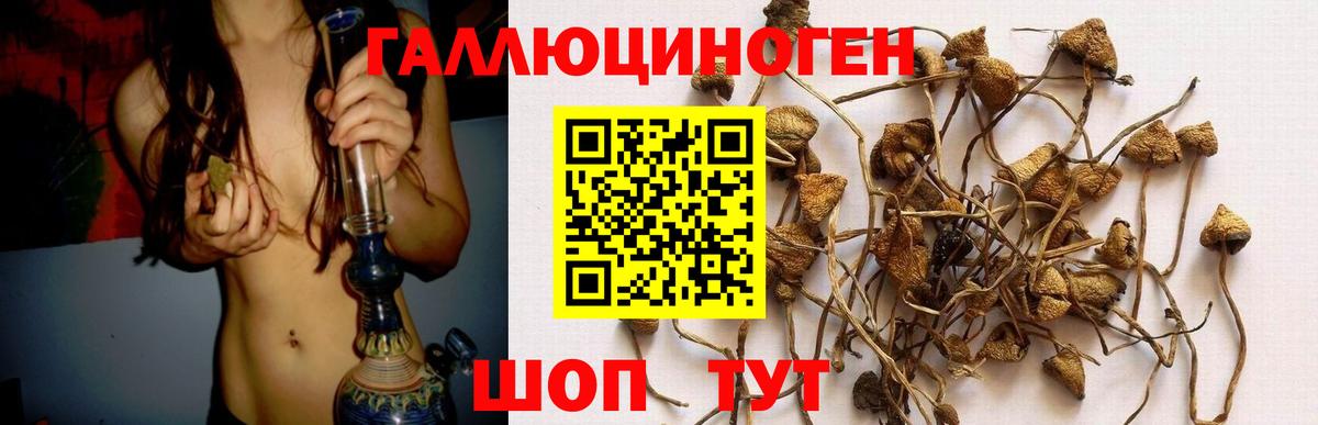 Выкса  Псилоцибиновые грибы прущие грибы  Вход с VPN  Галлюциногенные грибы ЛСД 